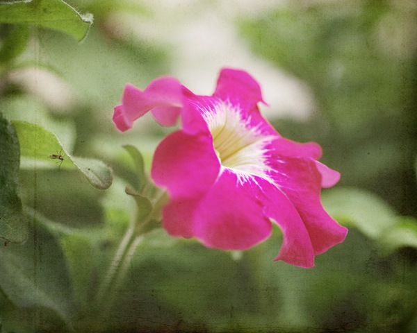 [DSC_0675 copy 2[4].jpg]